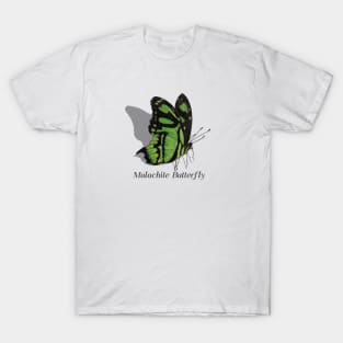 Malachite Butterfly Labeled T-Shirt